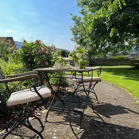 Graefin Amalia - Elegantes In Der Historischen Hinterburg In Schlitz, 2 Schlafzimmer, Mit Garten, Nahe Fulda Und Bad Hersfeld Appartamento *