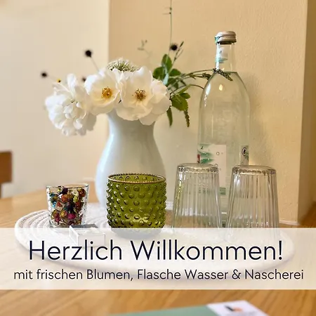 Amalias Burgwohnung - Stilvolles Apartment Mit Aufzug & Garten In Der Hinterburg Schlitz - 2 Schlafzimmer, Parkplatz, Historisches Flair Fuer Paare & Ruhesuchende Apartment