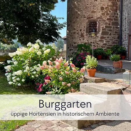 아파트 Amalias Burgwohnung - Stilvolles Apartment Mit Aufzug & Garten In Der Hinterburg Schlitz - 2 Schlafzimmer, Parkplatz, Historisches Flair Fuer Paare & Ruhesuchende *