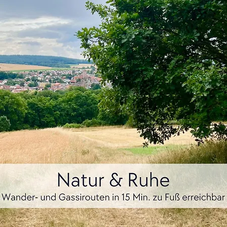 아파트 Amalias Burgwohnung - Stilvolles Apartment Mit Aufzug & Garten In Der Hinterburg Schlitz - 2 Schlafzimmer, Parkplatz, Historisches Flair Fuer Paare & Ruhesuchende